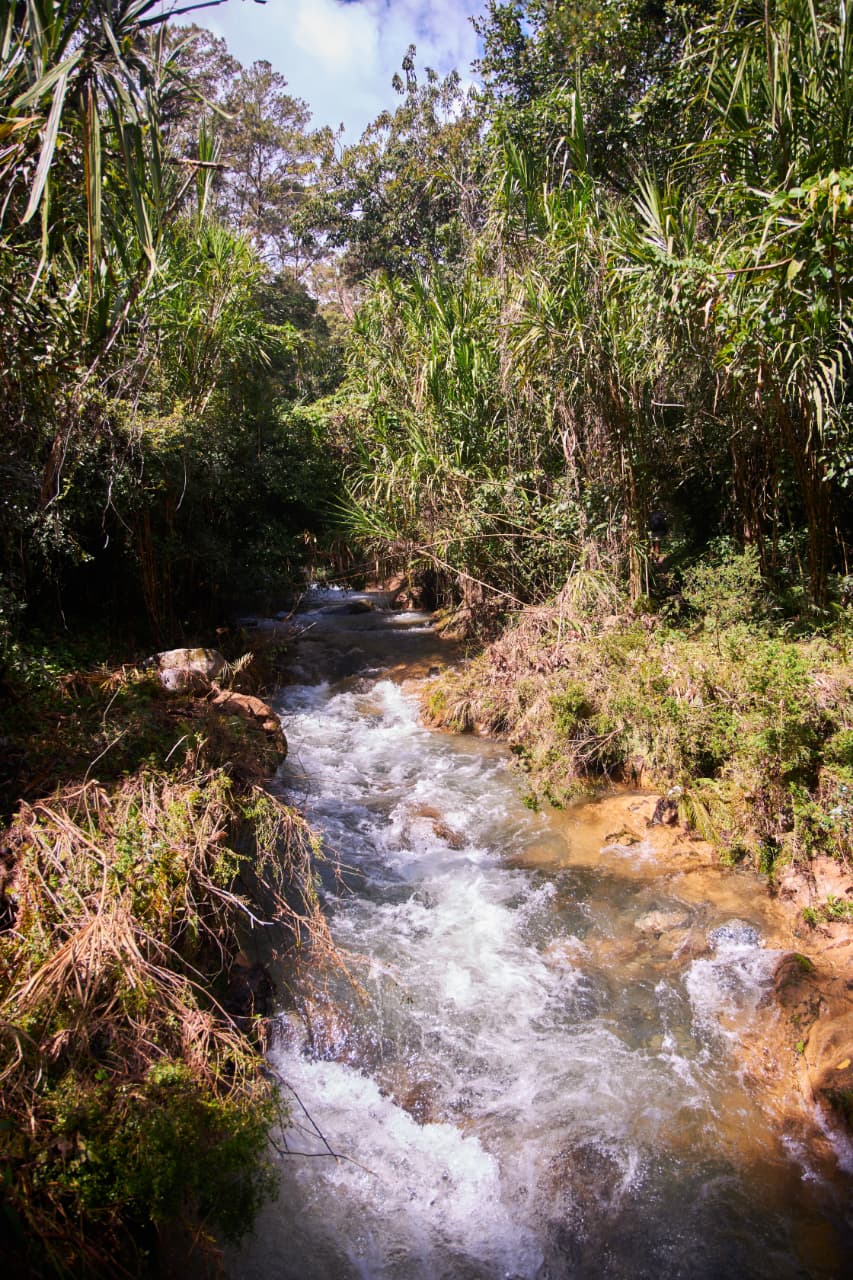 Path of the Virgin - Image 2